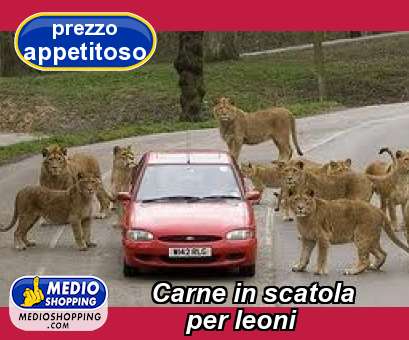 Medioshopping Carne in scatola      per leoni