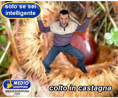 Medioshopping colto in castagna