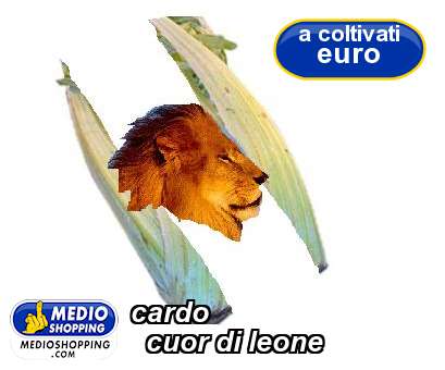 Medioshopping cardo    cuor di leone