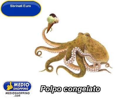 Medioshopping Polpo congelato