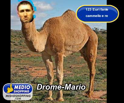 Medioshopping Drome-Mario