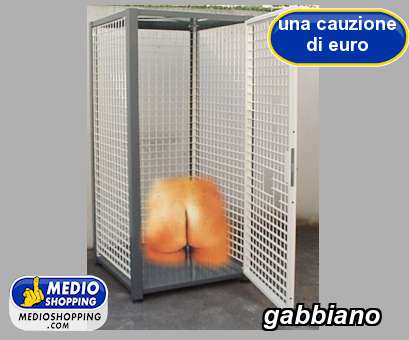 Medioshopping gabbiano