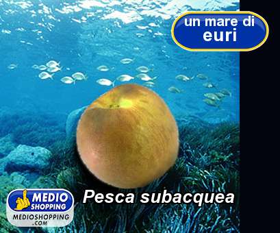 Medioshopping Pesca subacquea