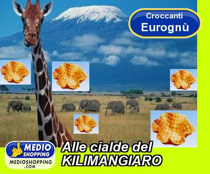 Medioshopping Alle cialde del  KILIMANGIARO