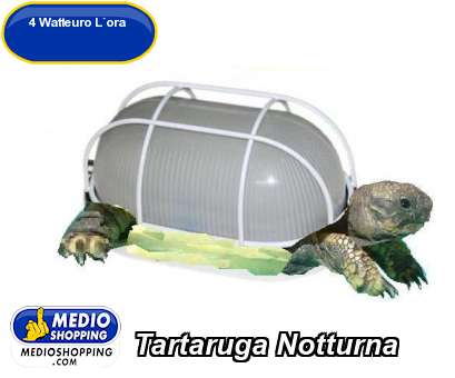 Tartaruga Notturna
