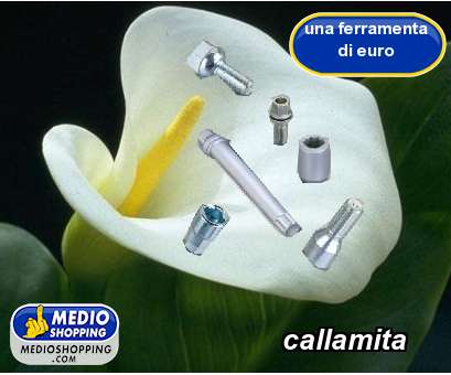 Medioshopping callamita