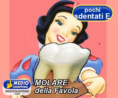 Medioshopping MOLARE  della Favola