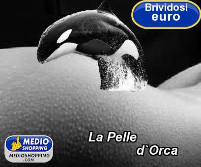 Medioshopping La Pelle               d`Orca