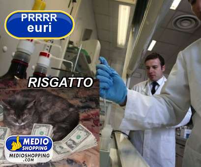 Medioshopping RISGATTO