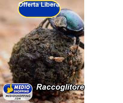 Medioshopping Raccoglitore