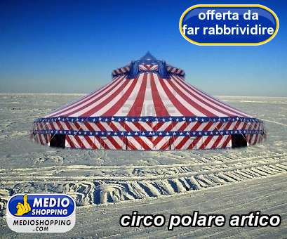 Medioshopping circo polare artico