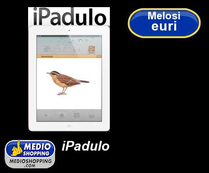 Medioshopping iPadulo