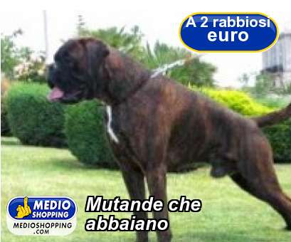 Medioshopping Mutande che abbaiano