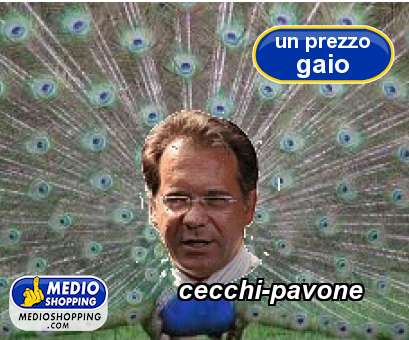 Medioshopping cecchi-pavone