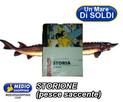 Medioshopping STORIONE (pesce saccente)