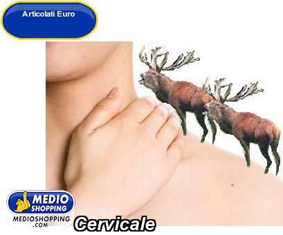 Medioshopping Cervicale