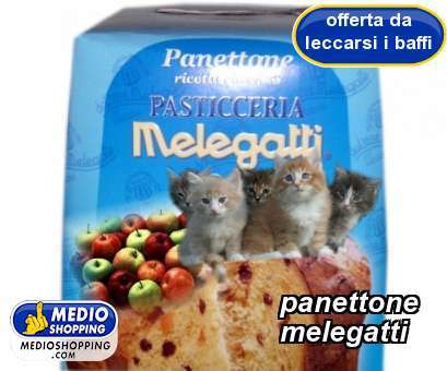 Medioshopping panettone            melegatti