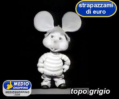 Medioshopping topo grigio