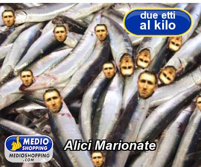 Medioshopping Alici Marionate