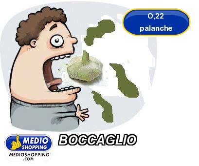 Medioshopping BOCCAGLIO