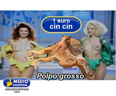 Medioshopping Polpo grosso