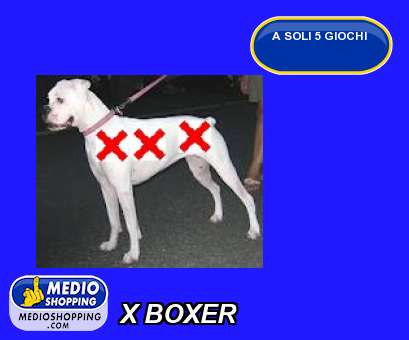 Medioshopping X BOXER