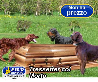 Medioshopping Tressetter col Morto