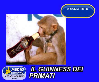 Medioshopping IL GUINNESS DEI  PRIMATI