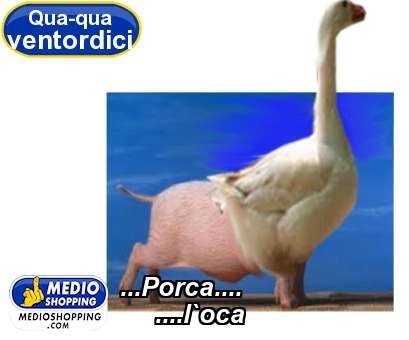 Medioshopping ...Porca....      ....l`oca