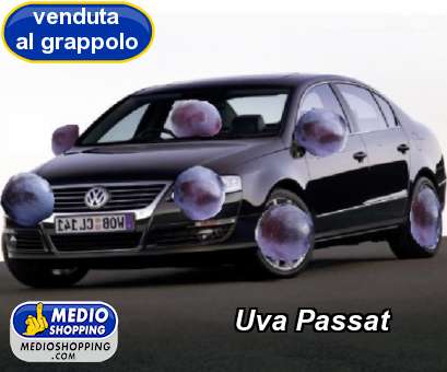 Medioshopping Uva Passat