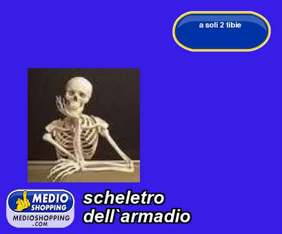 Medioshopping scheletro  dell`armadio