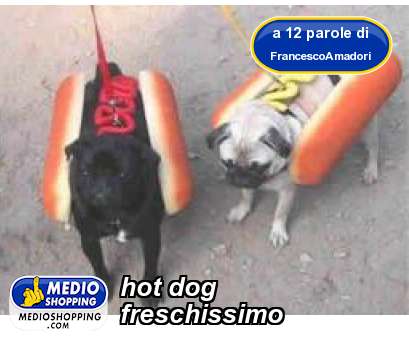 Medioshopping hot dog freschissimo