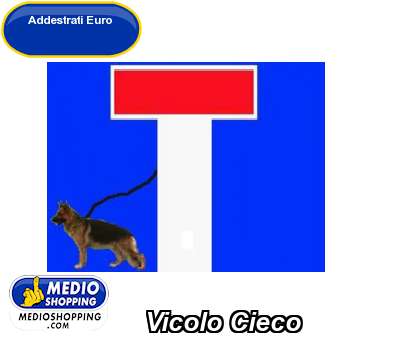 Medioshopping Vicolo Cieco