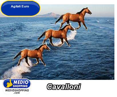 Cavalloni