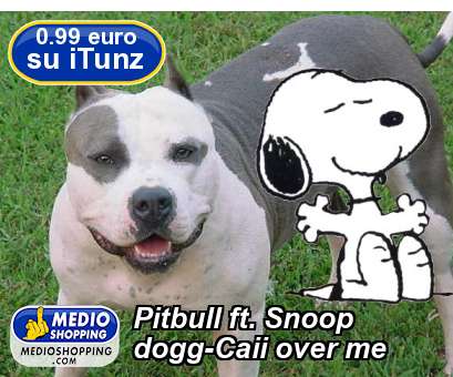 Medioshopping Pitbull ft. Snoop dogg-Caii over me