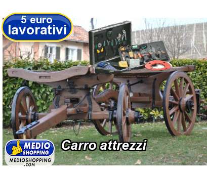 Medioshopping Carro attrezzi