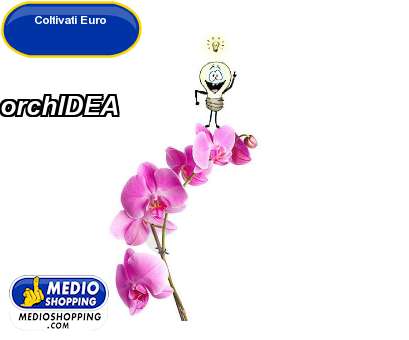 Medioshopping orchIDEA