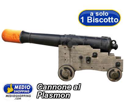 Cannone al  Plasmon