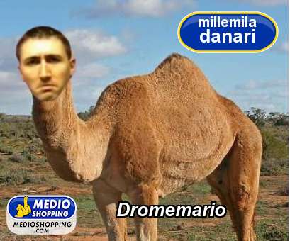 Medioshopping Dromemario