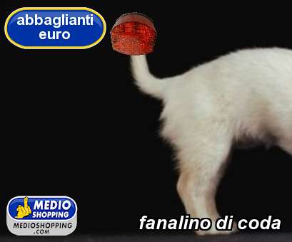 Medioshopping fanalino di coda