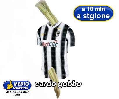 Medioshopping cardo gobbo