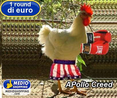 Medioshopping APollo Creed