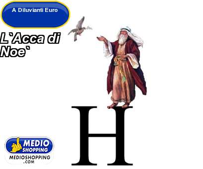 Medioshopping L`Acca di  Noe`