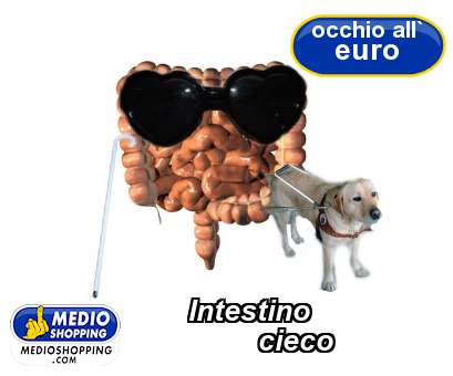 Medioshopping Intestino          cieco