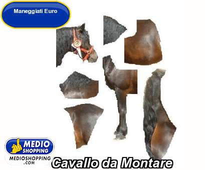 Medioshopping Cavallo da Montare