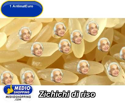 Medioshopping Zichichi di riso