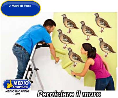 Medioshopping Perniciare il muro