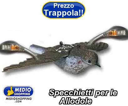 Medioshopping Specchietti per le      Allodole