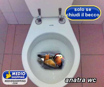 anatra wc