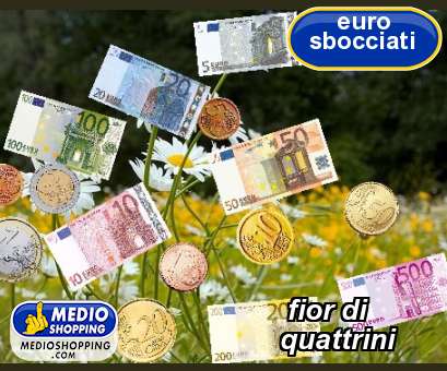 Medioshopping fior di            quattrini